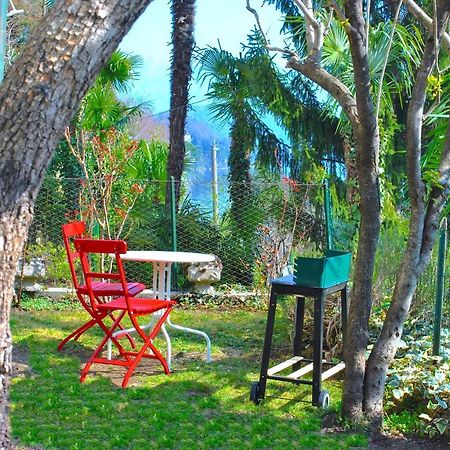Apartment The Palm With Garden Sala Comacina Luaran gambar